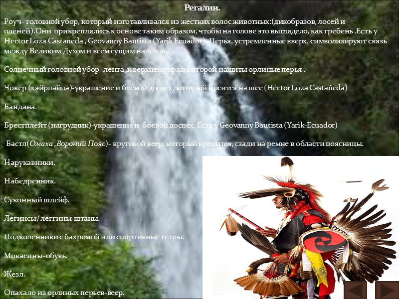 Роуч- головной убор, который изготавливался из жестких волос животных:(дикобразов, лосей и оленей).Они  прикреплялись